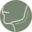 Injerto con grasa o transferencia en rostro icon